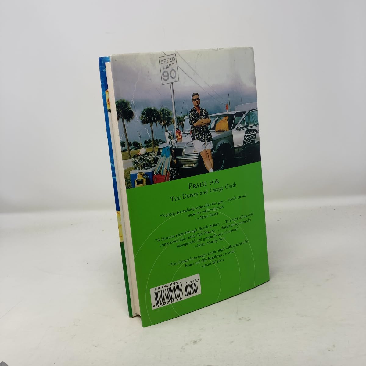 Triggerfish Twist: A Novel used book depot