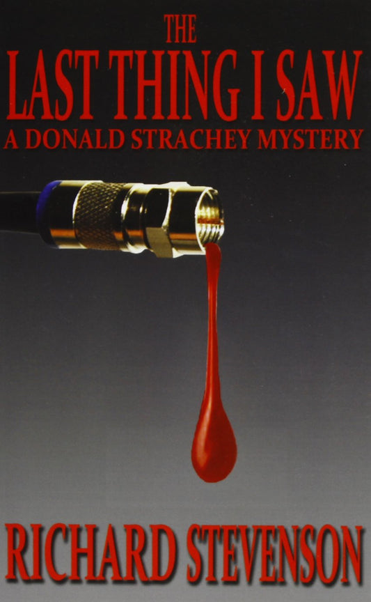 The Last Thing I Saw (Donald Strachey Mystery)