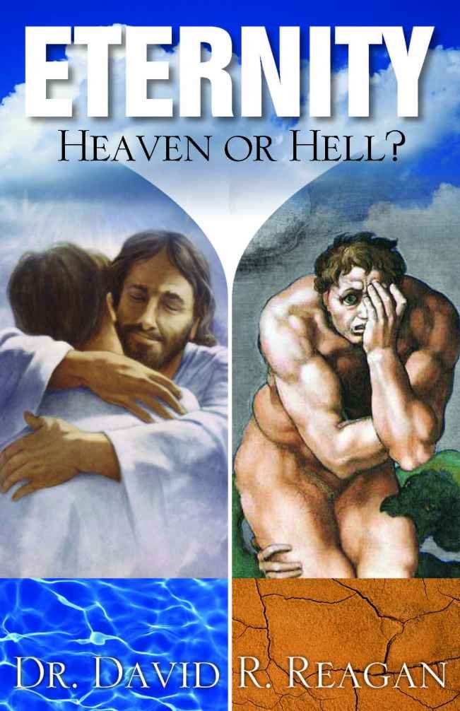 Eternity: Heaven or Hell? used book depot