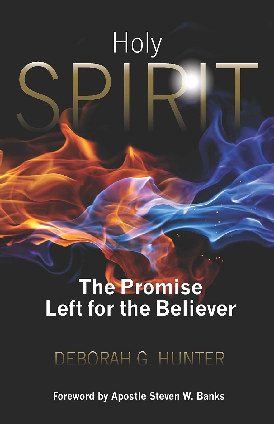 Holy Spirit: The Promise Left for the Believer used book depot