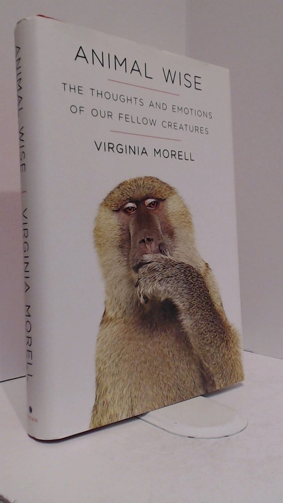 Animal Wise: The Thoughts and Emotions of Our Fellow Creatures used book depot