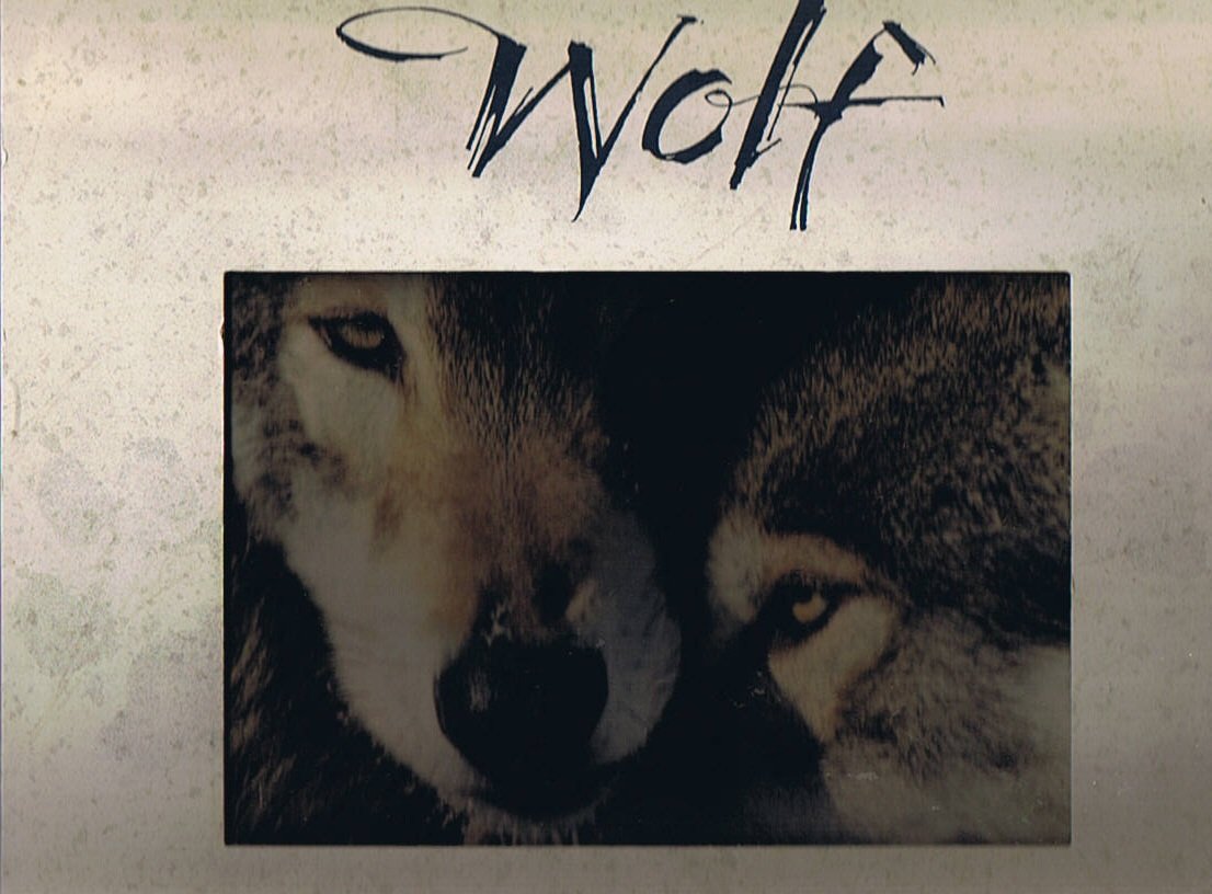 Wolf: Spirit of the Wild: A Celebration of Wolves in Word and Image used book depot
