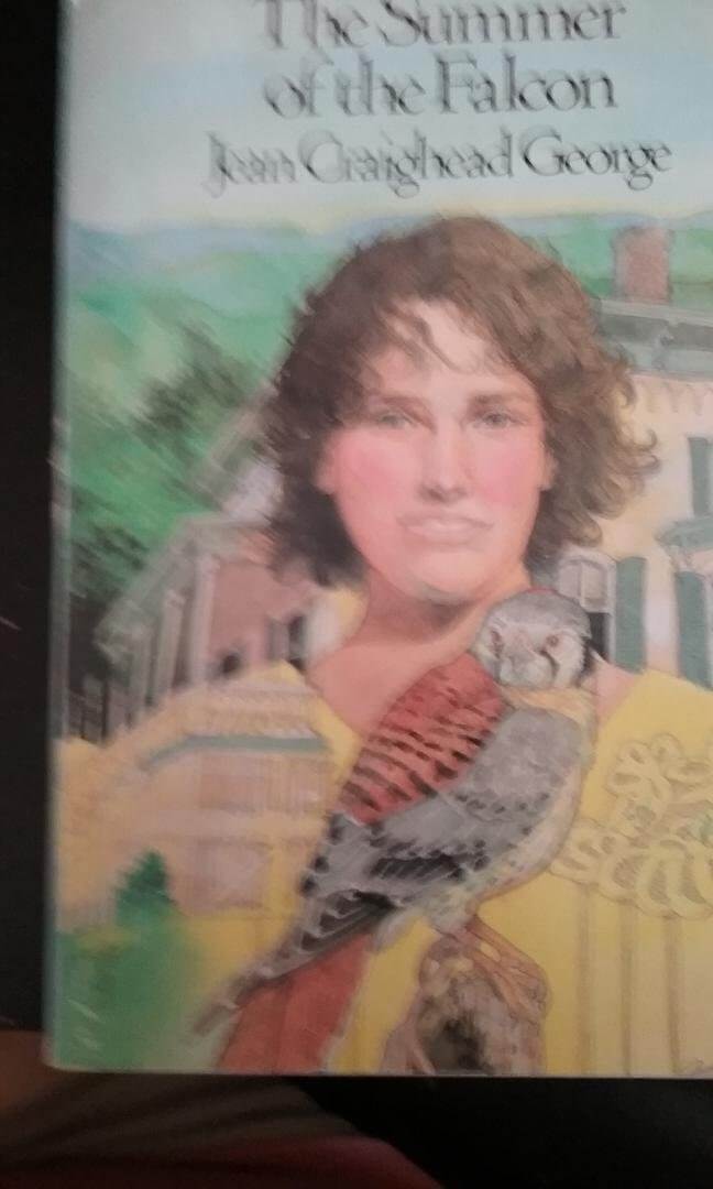 The Summer of the Falcon used book depot