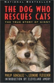 The Dog Who Rescues Cats: The True Story of Ginny used book depot