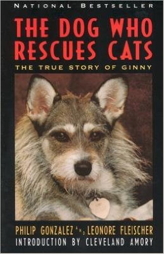 The Dog Who Rescues Cats: The True Story of Ginny used book depot