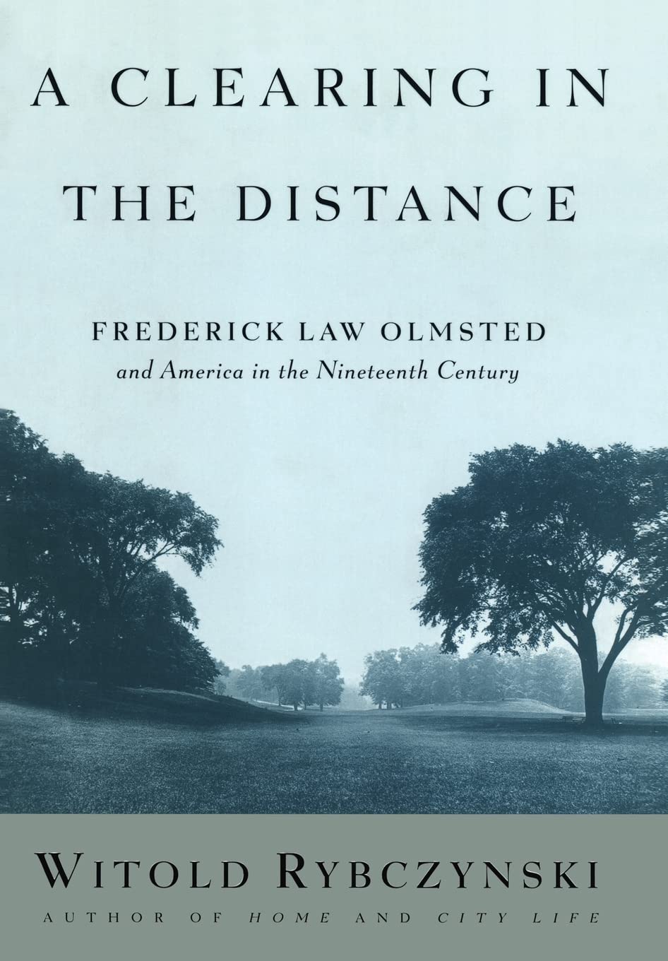 A Clearing in the Distance: Frederick Law Olmsted and America in the 19th Century used book depot