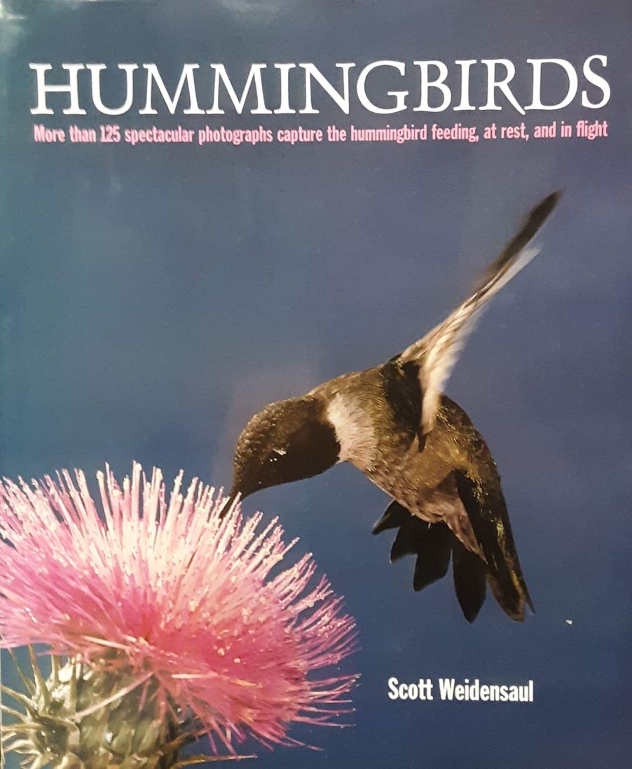 Hummingbirds used book depot