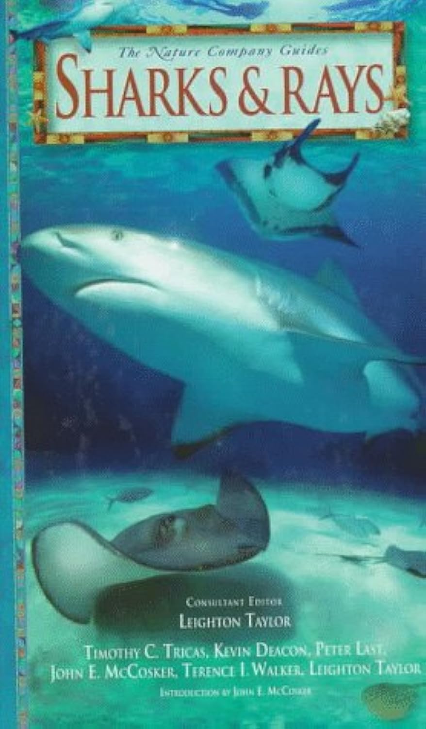 Sharks & Rays (Nature Company Guides) used book depot