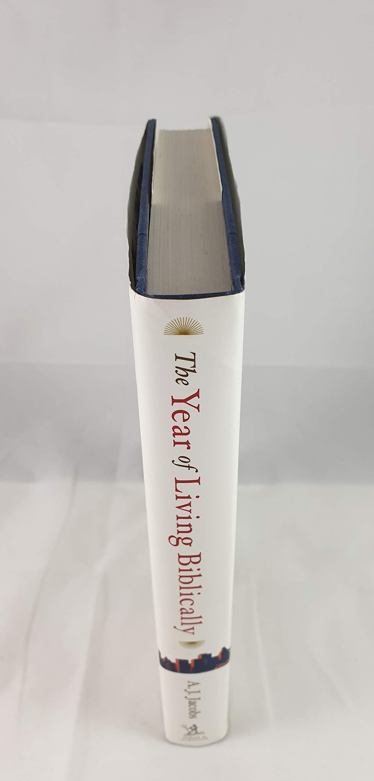 The Year of Living Biblically: One Man's Humble Quest to Follow the Bible as Literally as Possible used book depot