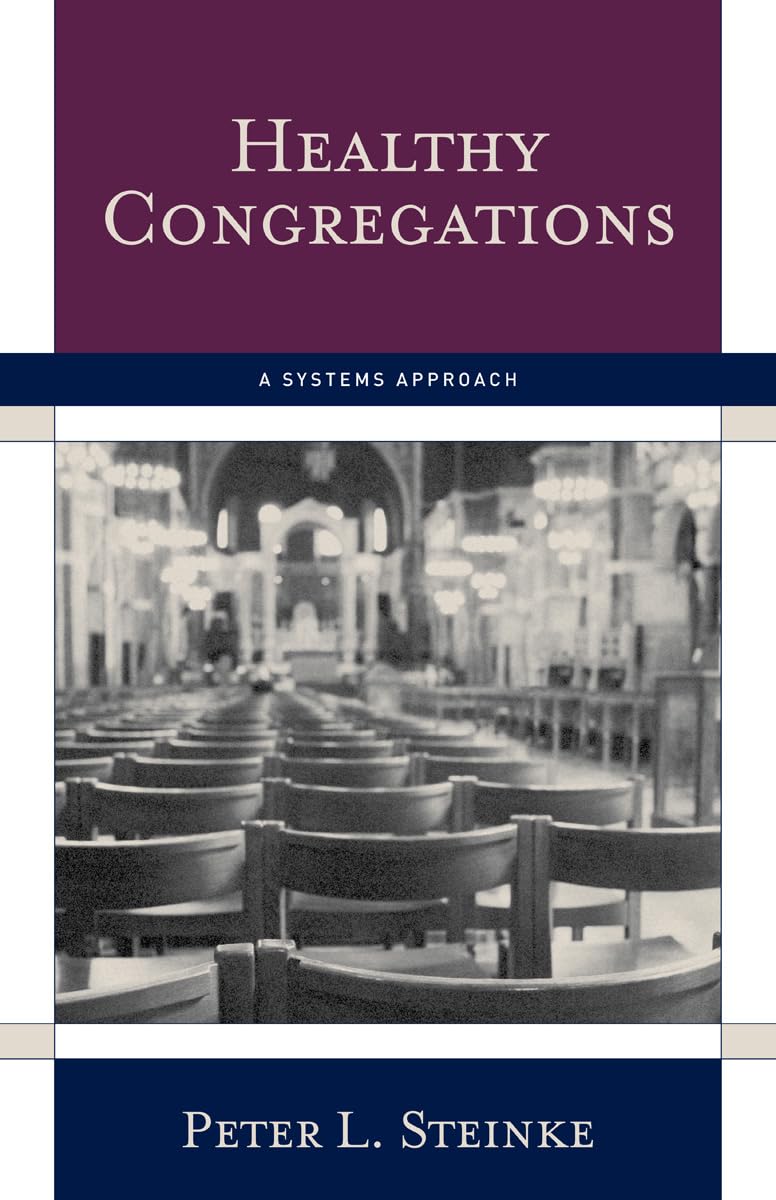 Healthy Congregations: A Systems Approach used book depot