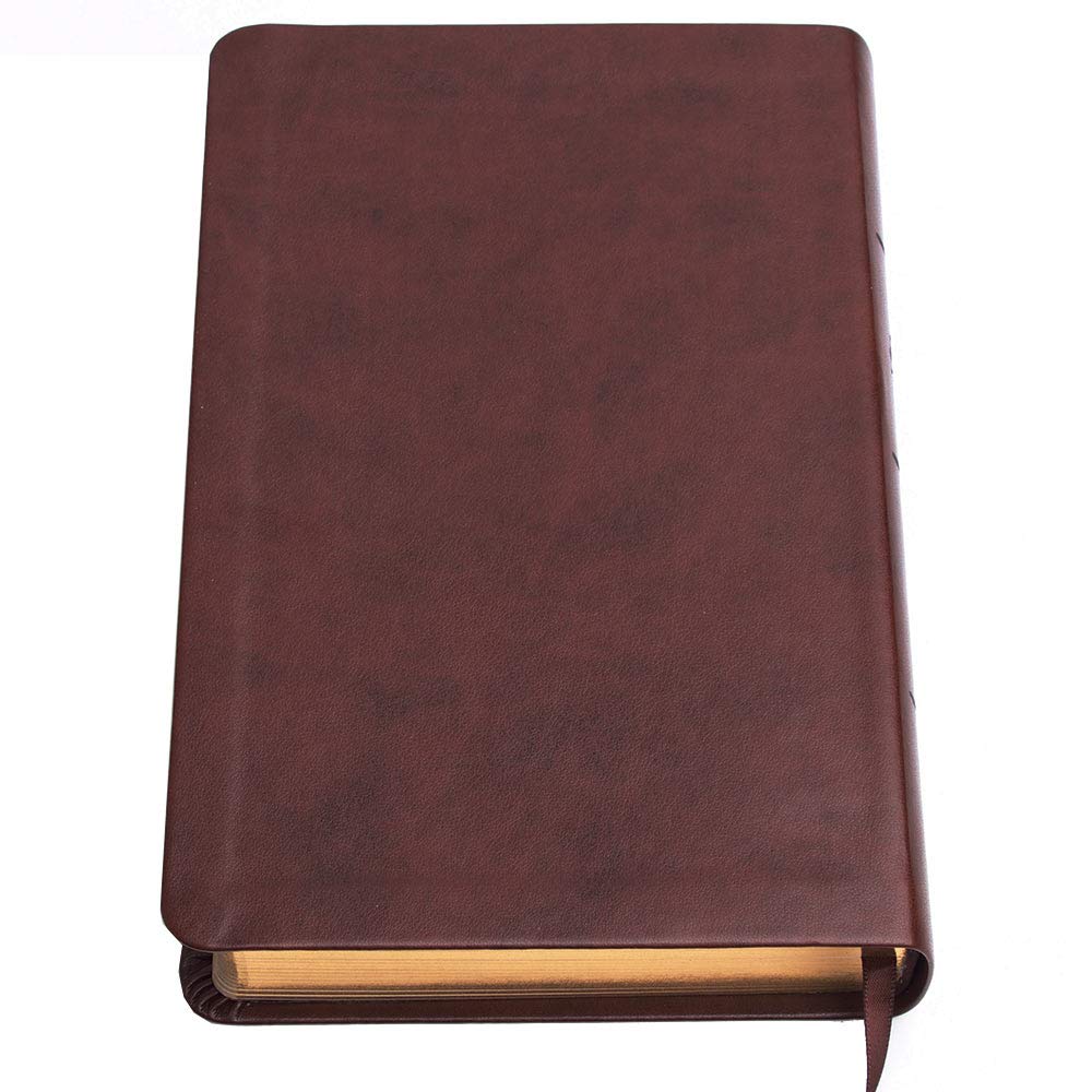 Psalms of the Bible: The Songs of Scripture in Both Contemporary and Classic Form used book depot