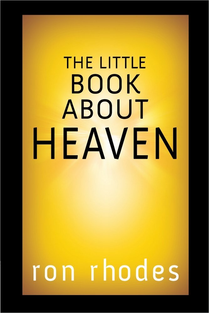 The Little Book About Heaven used book depot