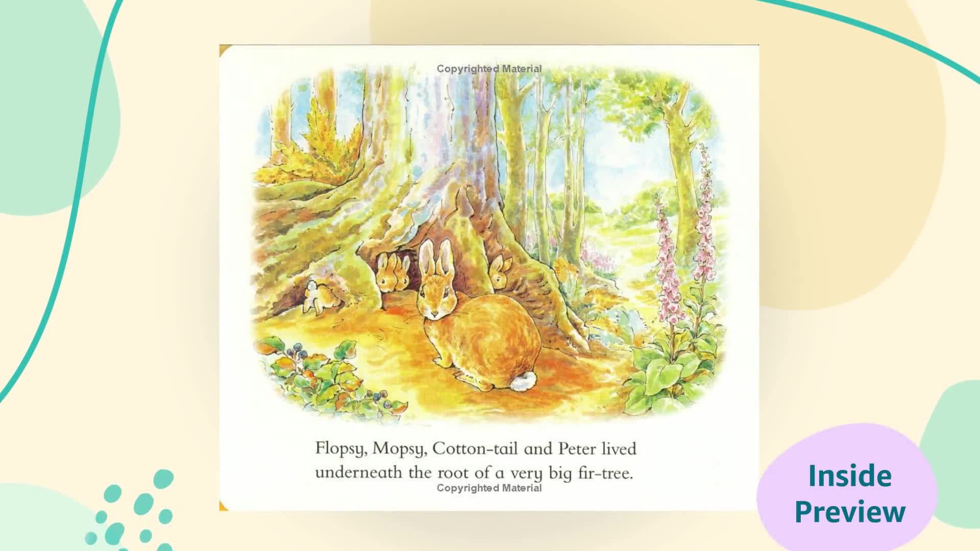 The Peter Rabbit Pop-up Book used book depot