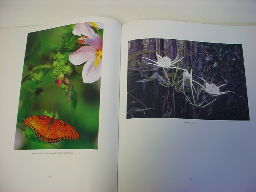 Manchac Swamp: Louisiana's Undiscovered Wilderness used book depot