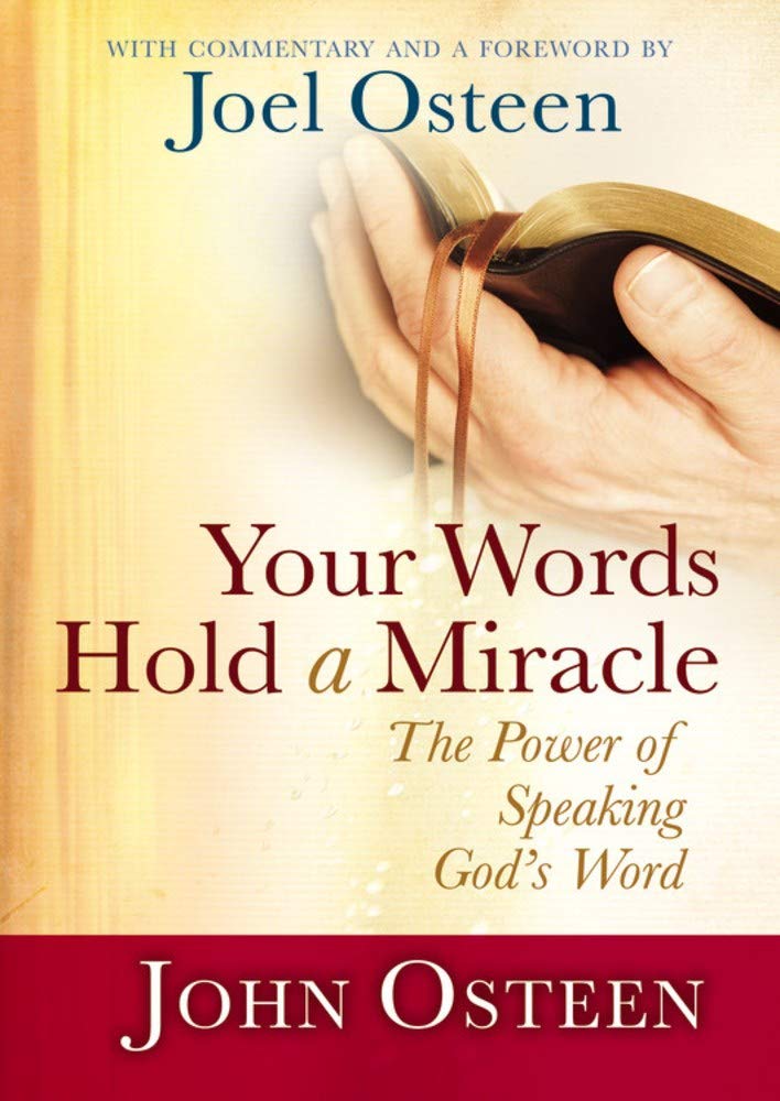 Your Words Hold a Miracle: The Power of Speaking God's Word used book depot