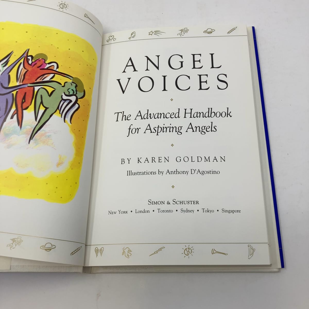 Angel Voices used book depot