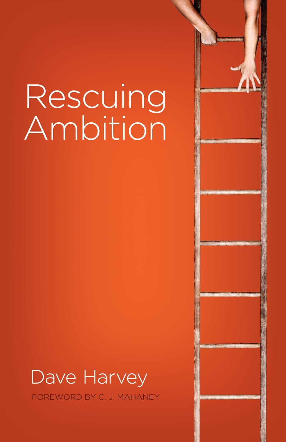 Rescuing Ambition used book depot