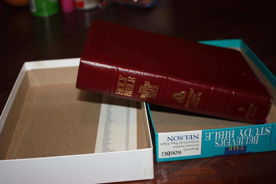 The Believer's Study Bible: New King James Version used book depot