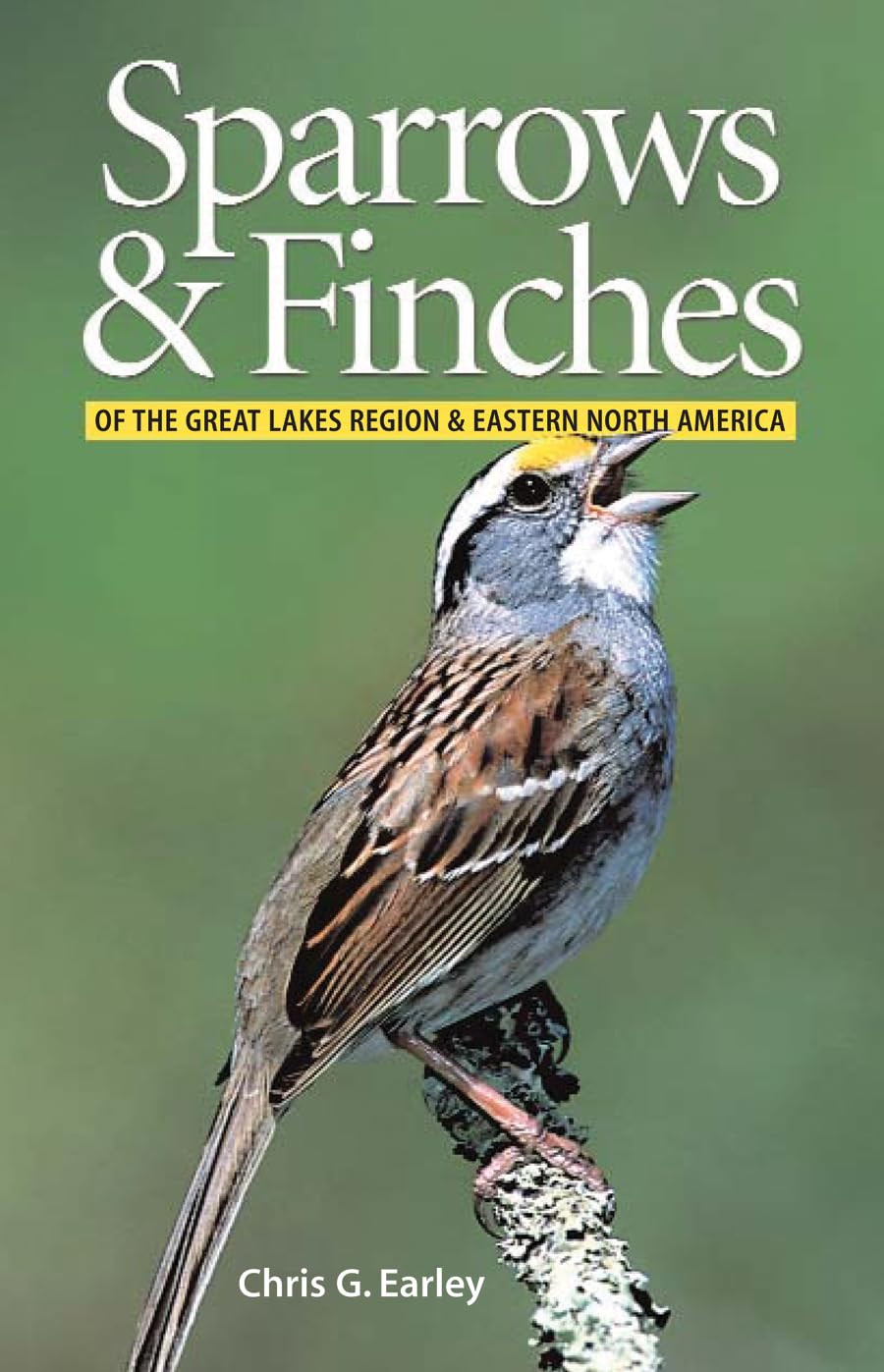 Sparrows and Finches of the Great Lakes Region and Eastern North America used book depot
