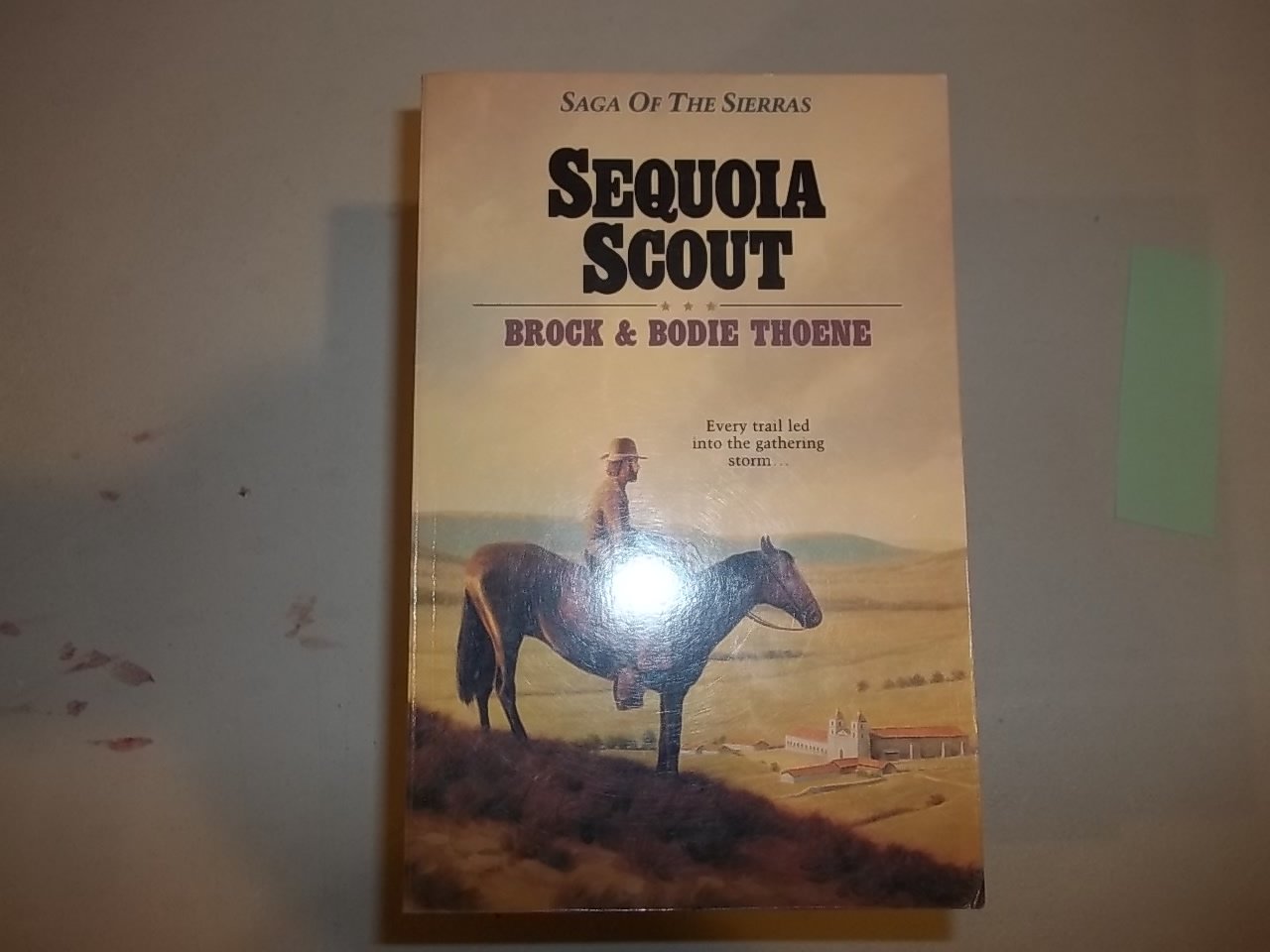 Sequoia Scout (Saga of the Sierras) used book depot