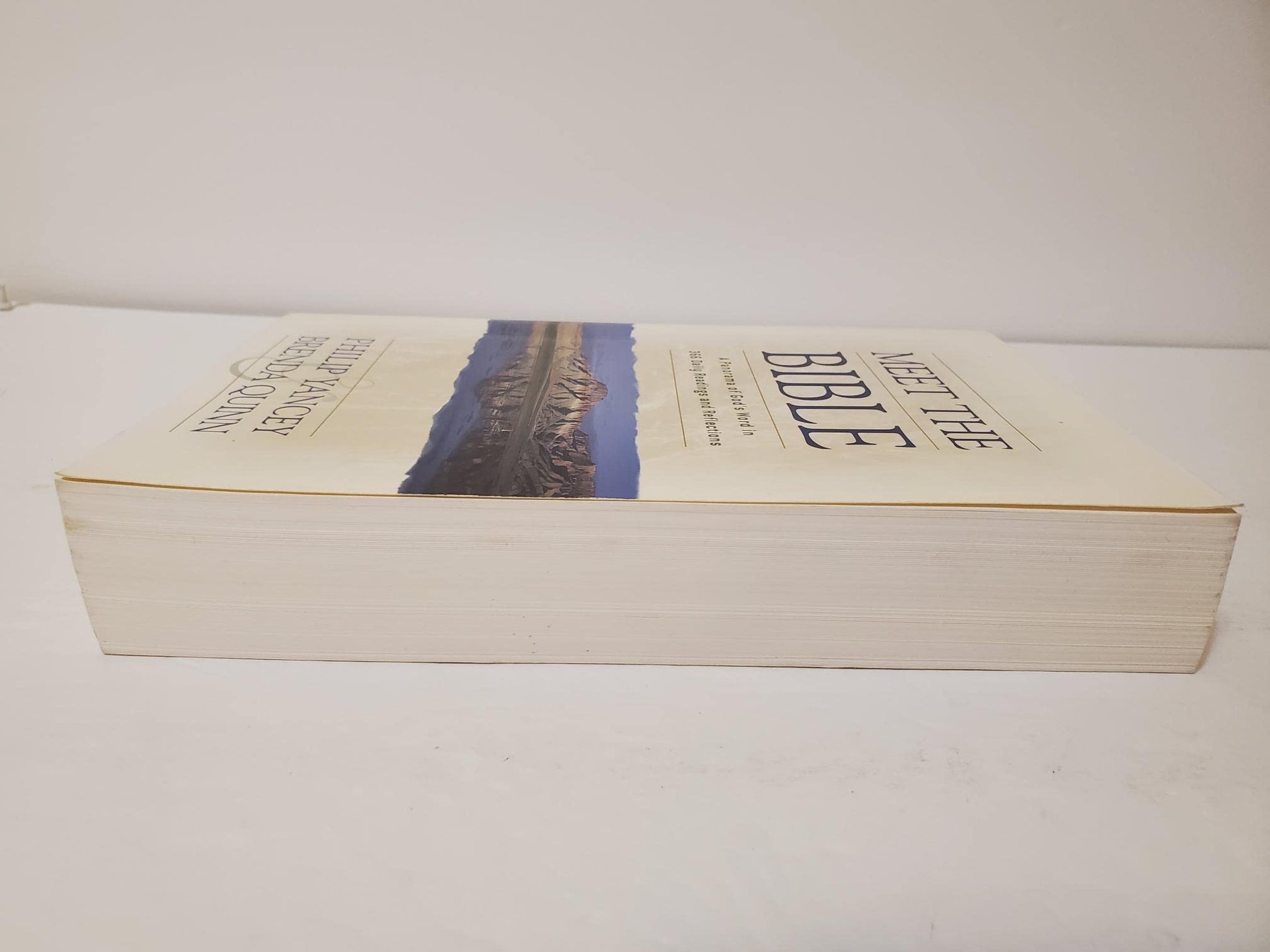 Meet the Bible: A Panorama of God's Word in 366 Daily Readings and Reflections used book depot