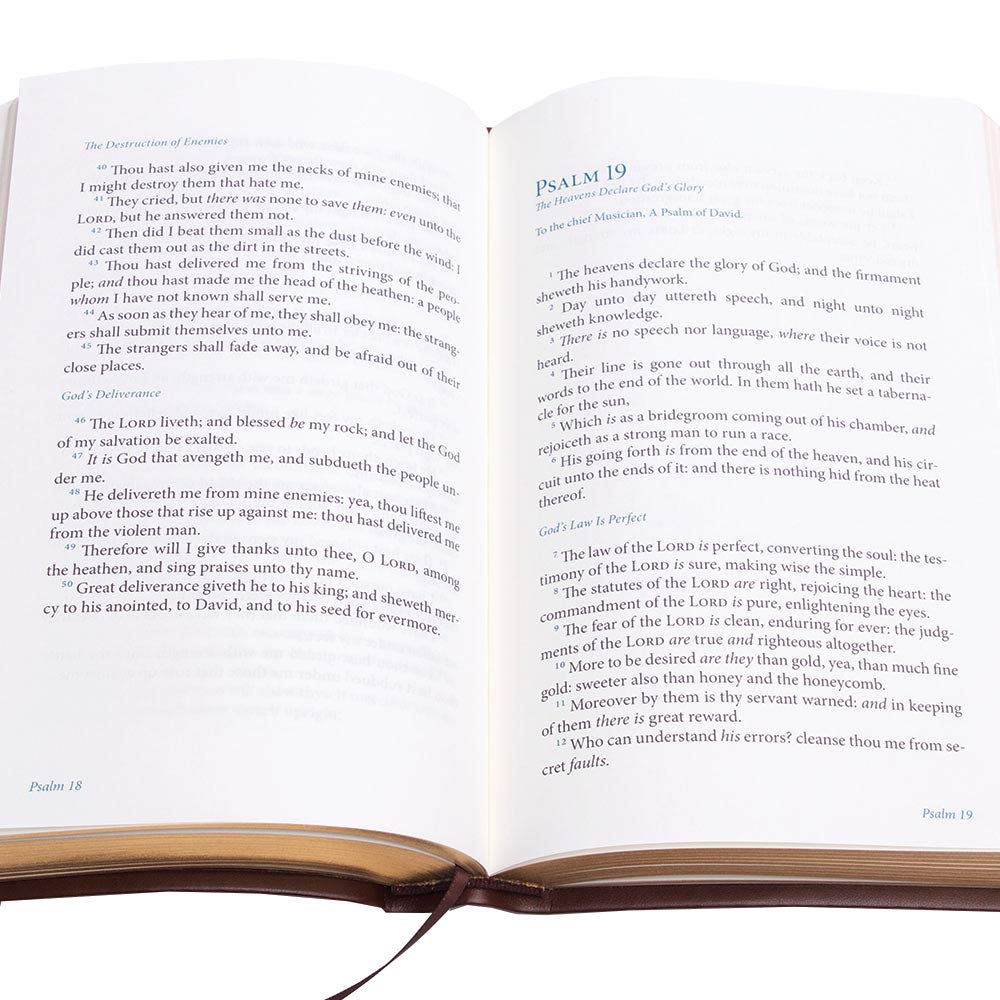 Psalms of the Bible: The Songs of Scripture in Both Contemporary and Classic Form used book depot