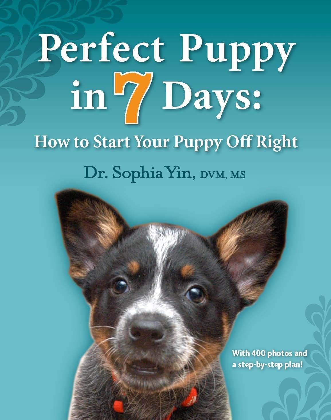 Perfect Puppy in 7 Days: How to Start Your Puppy Off Right used book depot