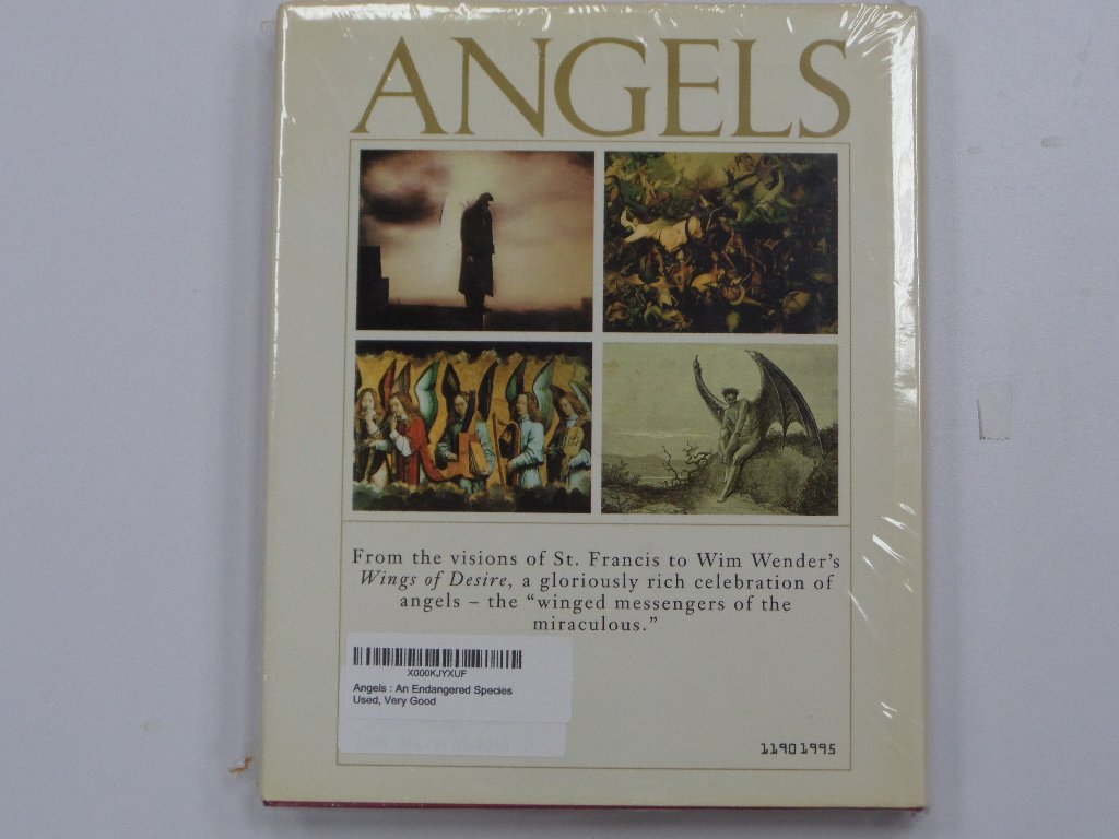 Angels : An Endangered Species used book depot