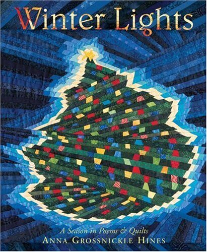 Winter Lights: A Season in Poems & Quilts used book depot