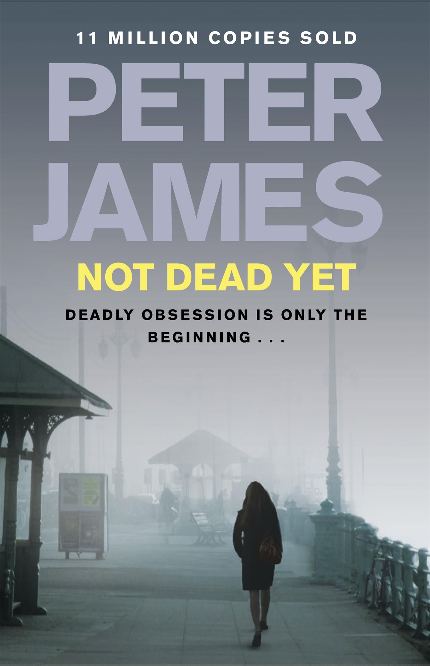 Not Dead Yet (Roy Grace) used book depot