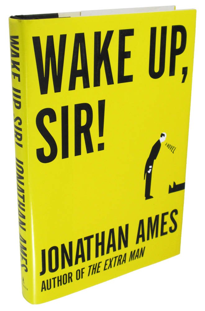 Wake Up, Sir!: A Novel used book depot