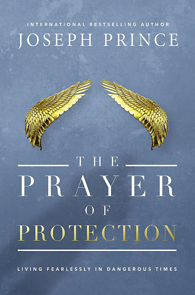 The Prayer of Protection: Living Fearlessly in Dangerous Times used book depot