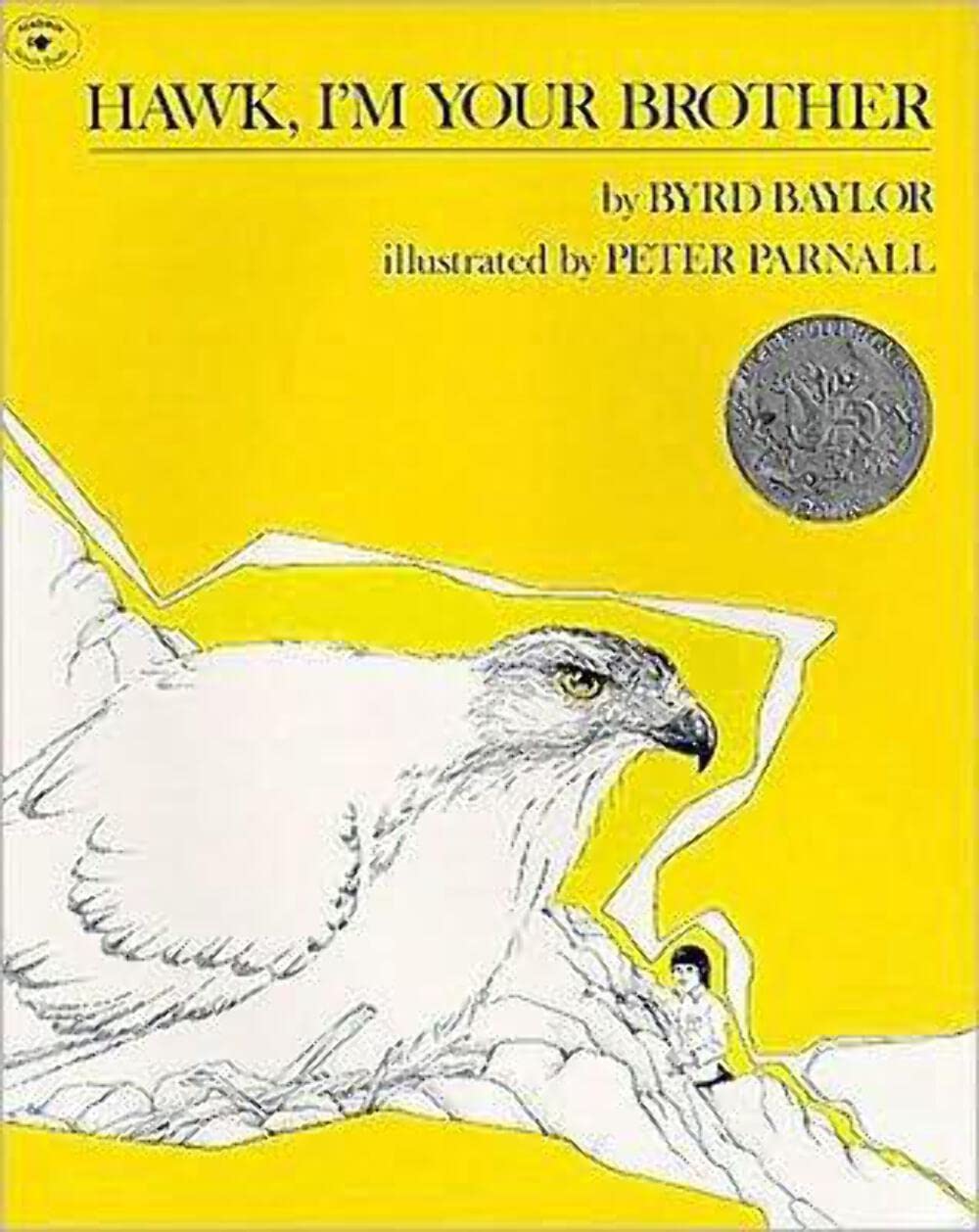 Hawk, I'm Your Brother used book depot