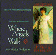Where Angels Walk used book depot