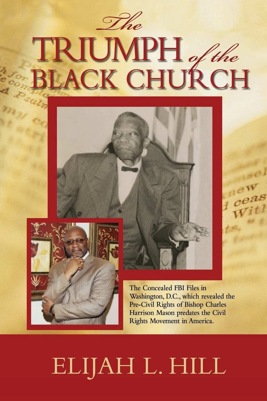 The Triumph of The Black Church: Civil Liberties used book depot