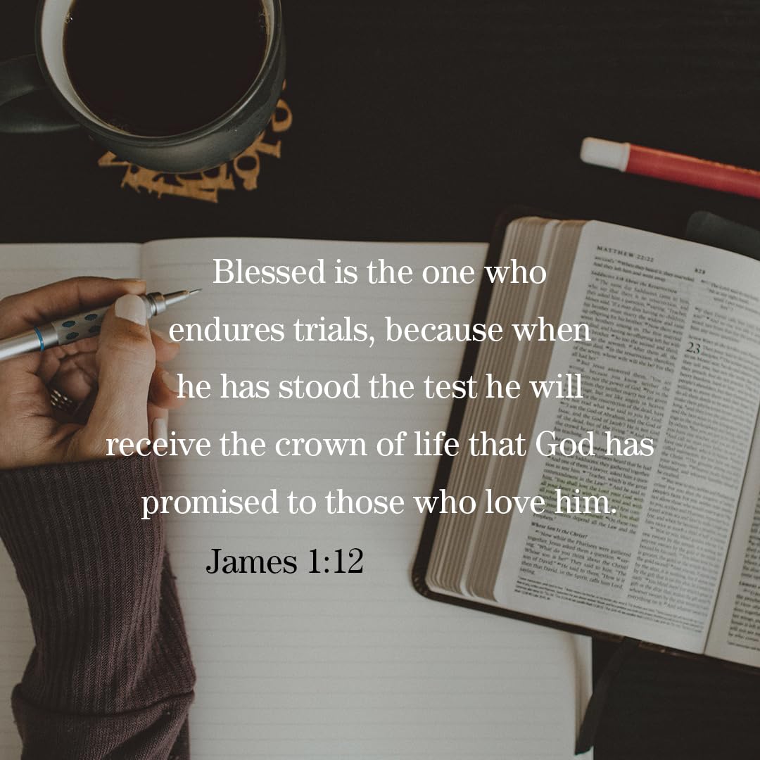 Elijah: Faith and Fire - Bible Study Book