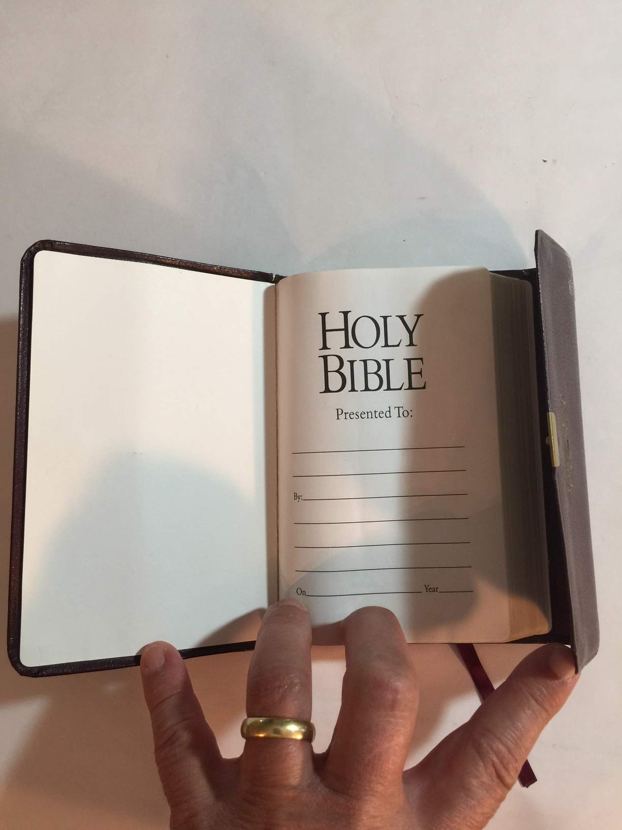 The Holman Pocket-Size Bible: New International Version : Burgundy Bonded With Snap