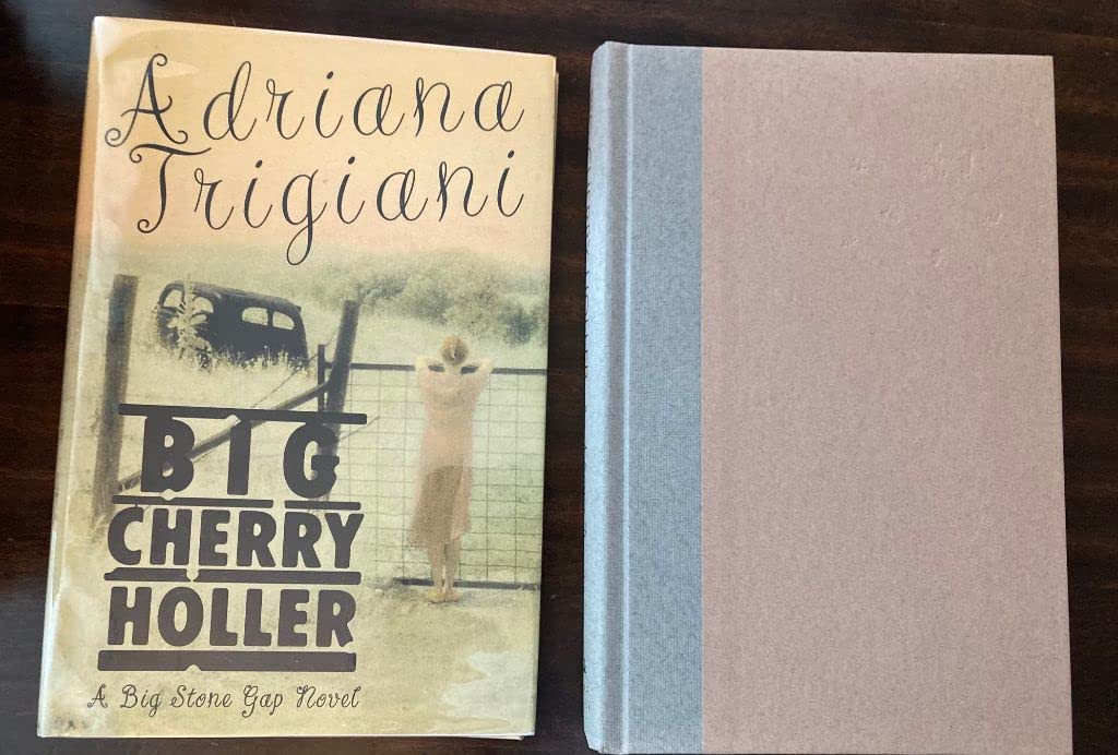 Big Cherry Holler used book depot