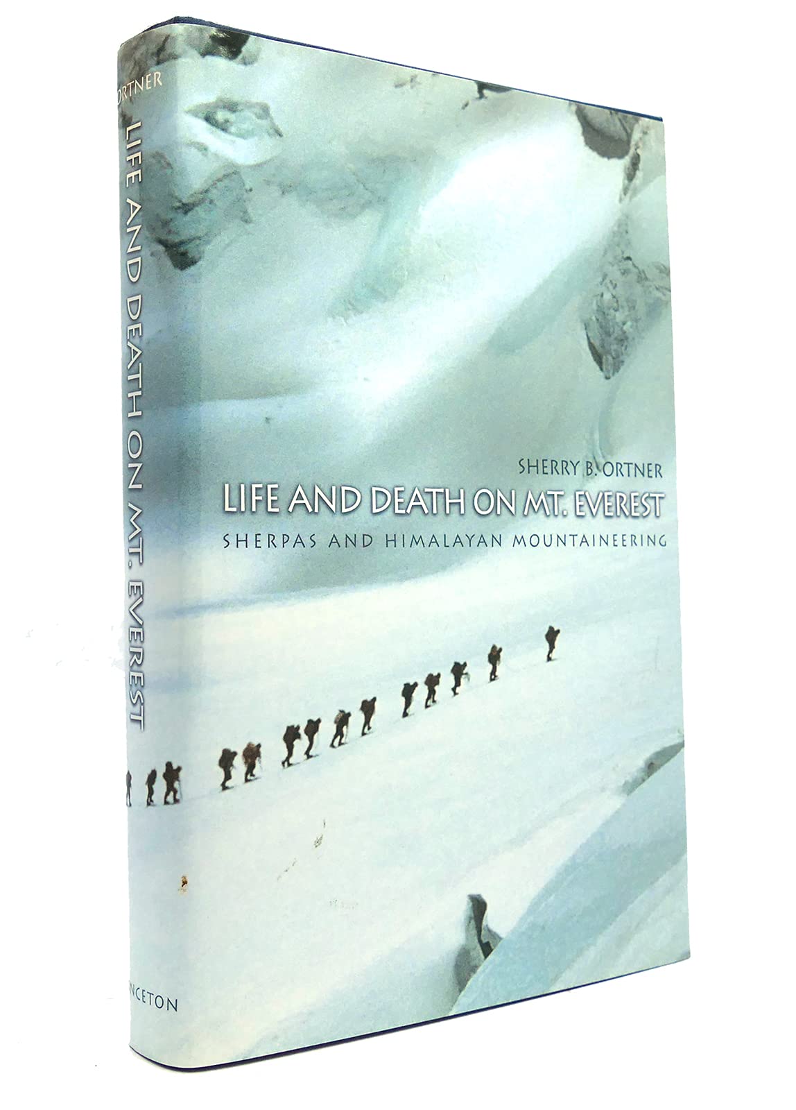 Life and Death on Mt. Everest used book depot