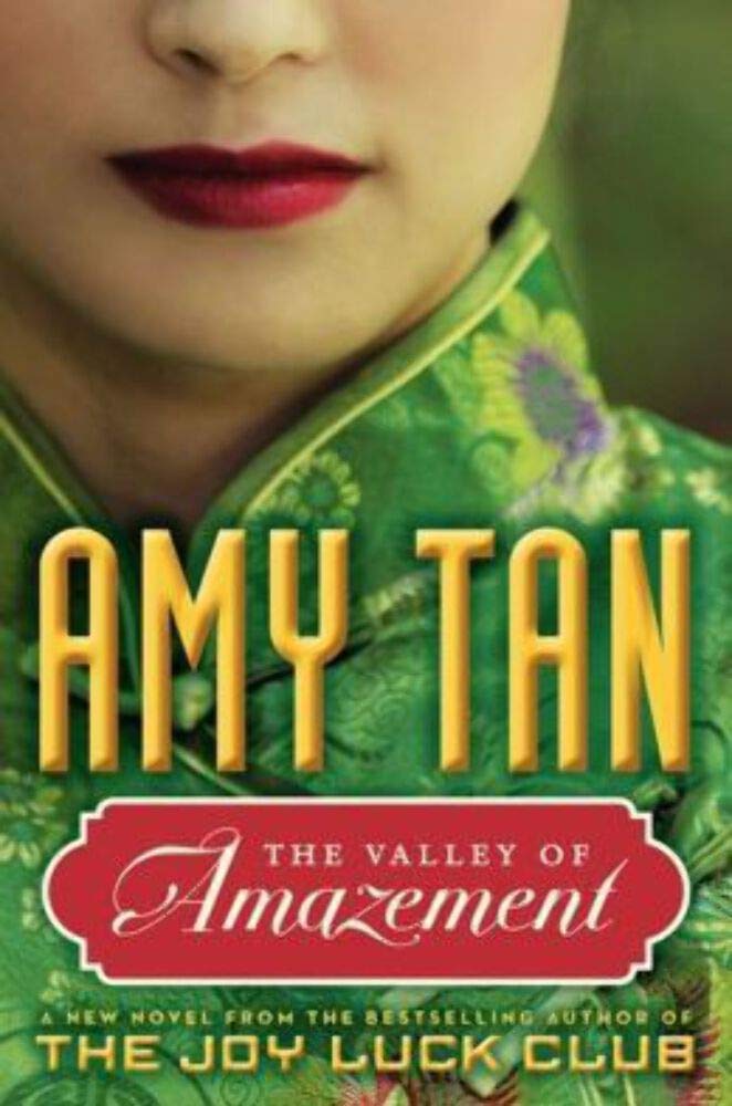 The Valley of Amazement used book depot