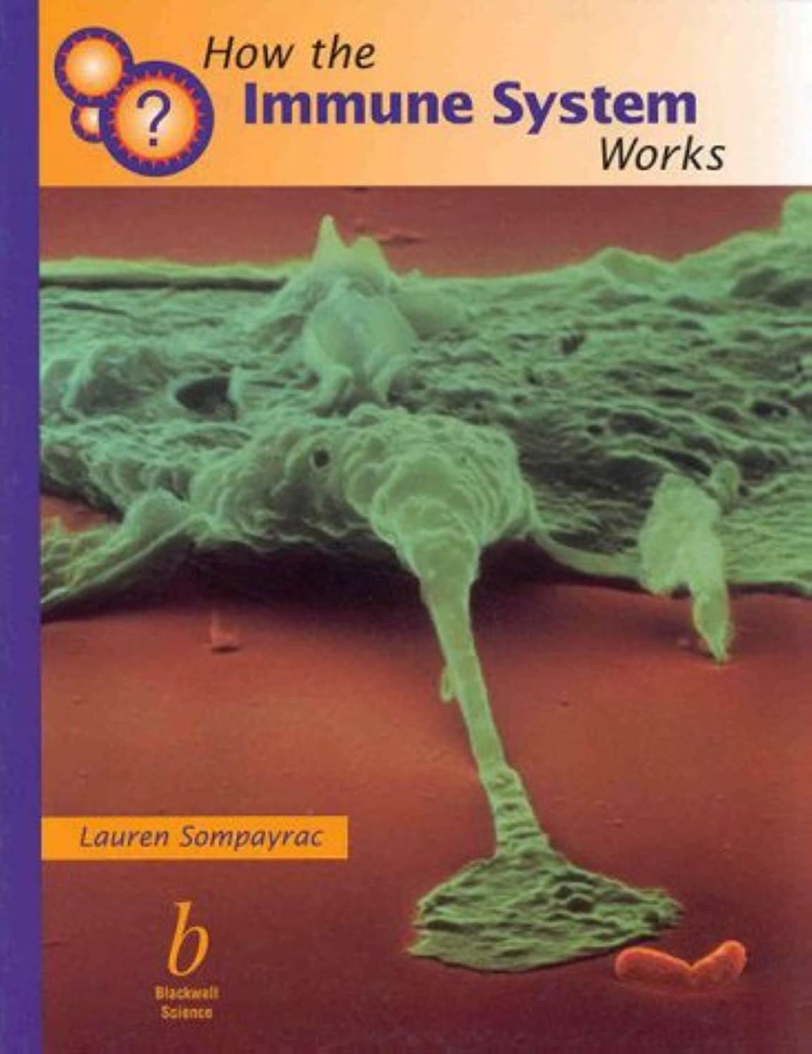 How the Immune System Works used book depot