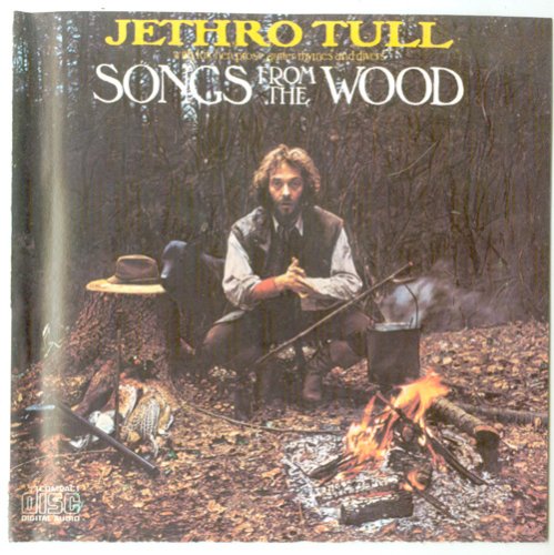 Songs From the Wood used book depot