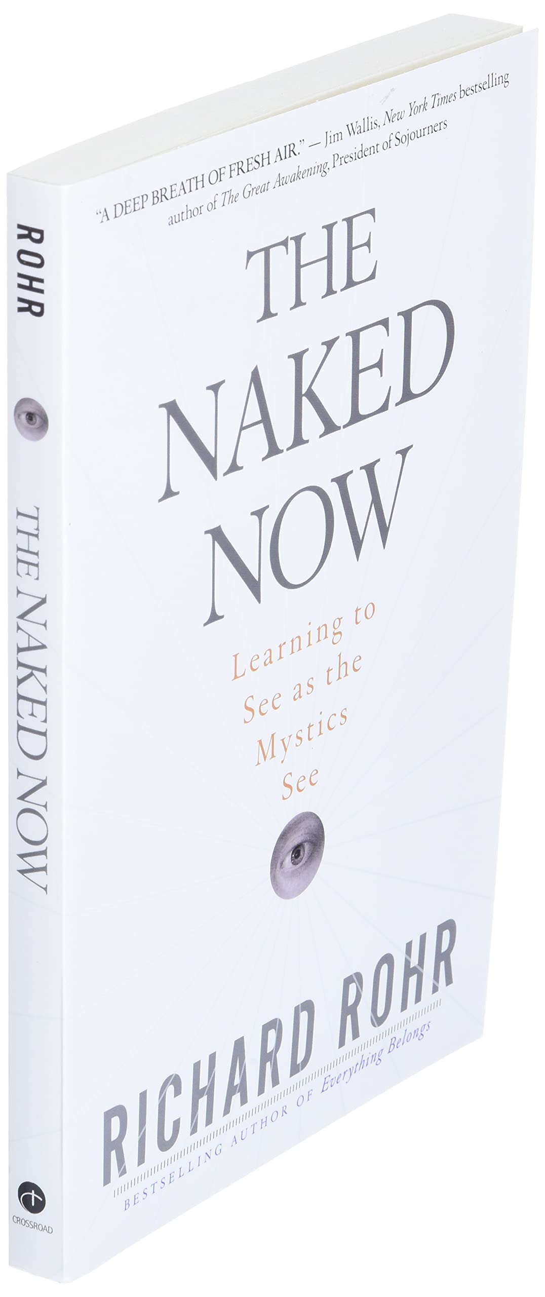 The Naked Now: Learning To See As the Mystics See used book depot