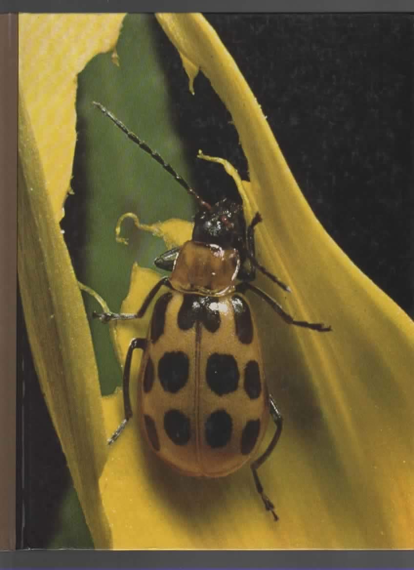 Pests and Diseases (Time Life Encyclopedia Gardening) used book depot