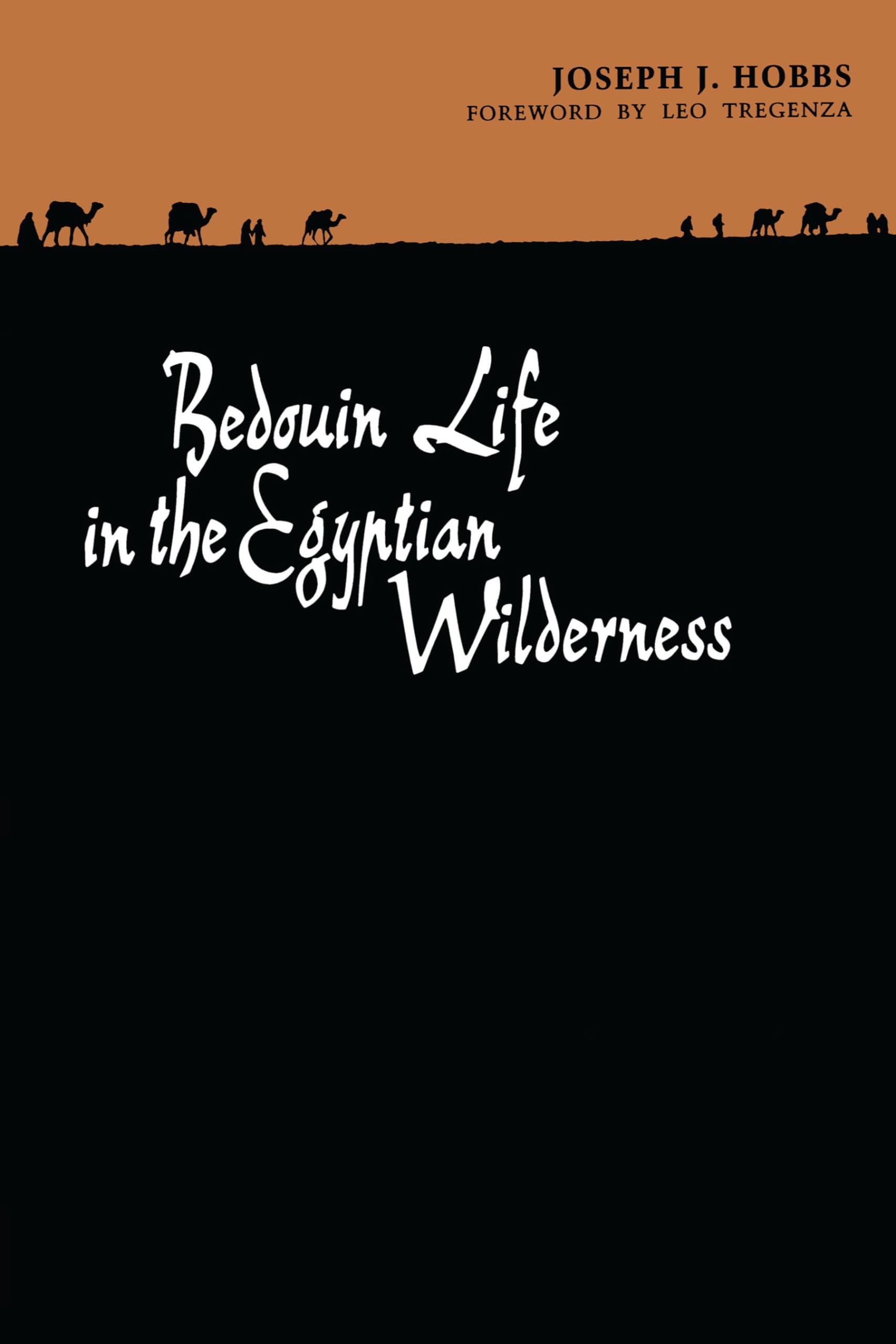 Bedouin Life in the Egyptian Wilderness used book depot
