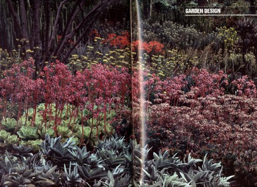 AMERICAN GARDEN GUIDES: Dry Climate Gardening with Succulents Folsom, Debra Brown