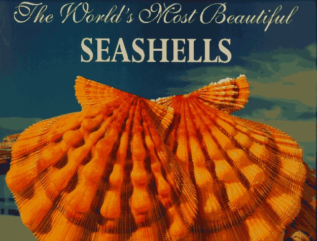 The World's Most Beautiful Seashells (Worlds Most Series) used book depot