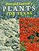 Howard Garrett's Plants for Texas