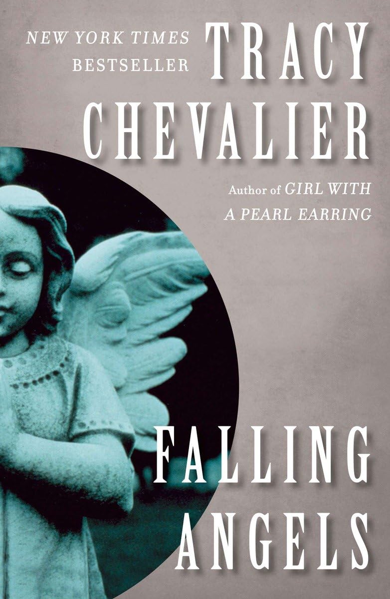 Falling Angels: A Novel used book depot