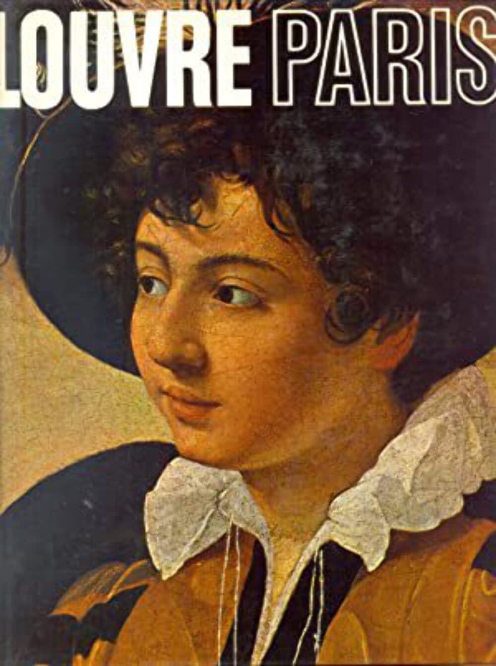 Louvre Paris (Great Museums of the World Series) used book depot